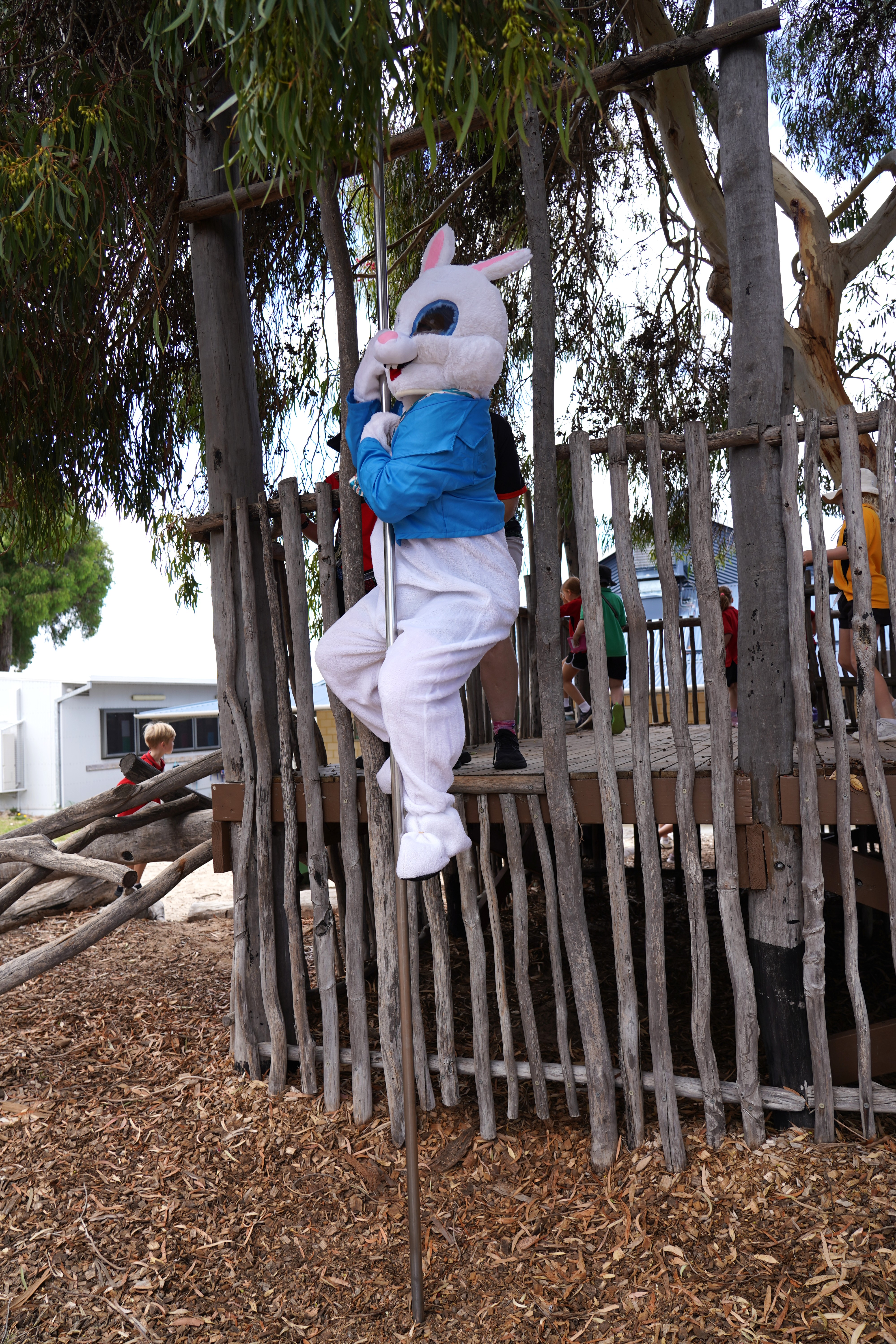 /uploaded_files/media/gallery/1776912393A7C04034.JPG